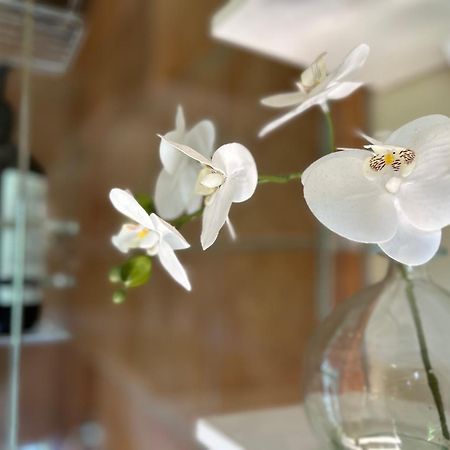 The Canyons B&B Квинстаун Экстерьер фото